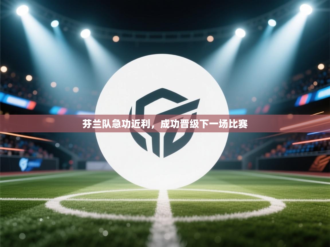 芬兰队急功近利，成功晋级下一场比赛