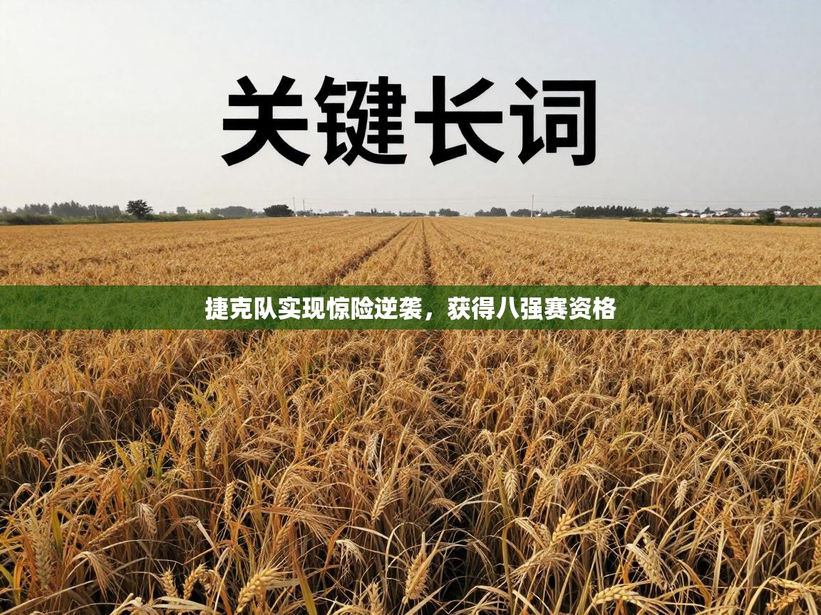 捷克队实现惊险逆袭，获得八强赛资格