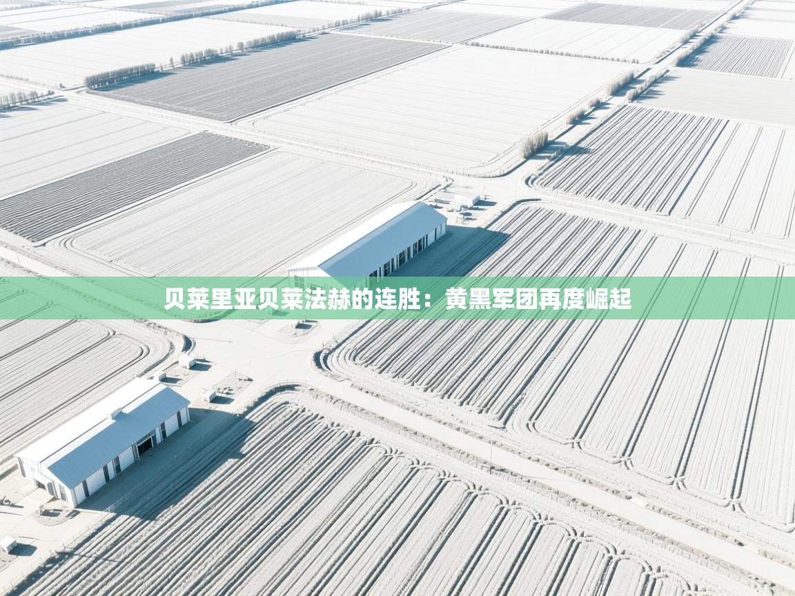 贝莱里亚贝莱法赫的连胜：黄黑军团再度崛起