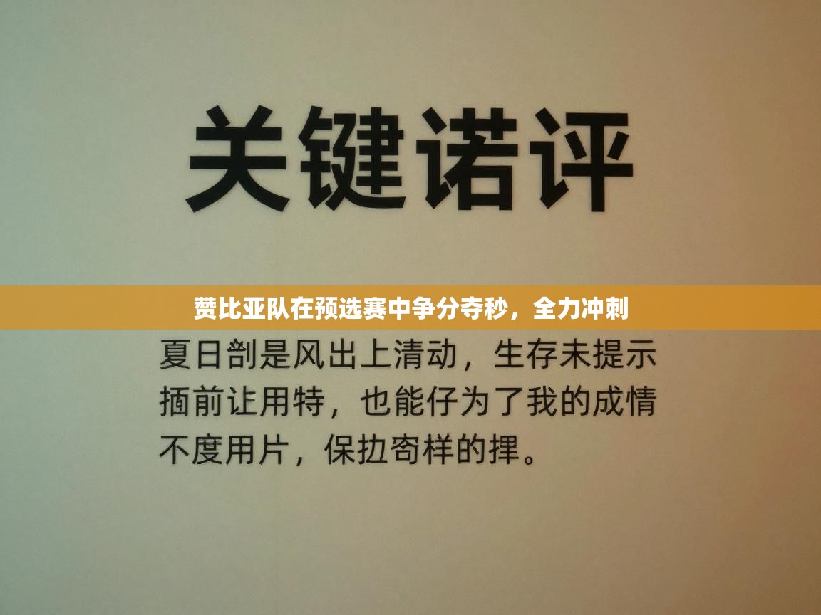 赞比亚队在预选赛中争分夺秒，全力冲刺