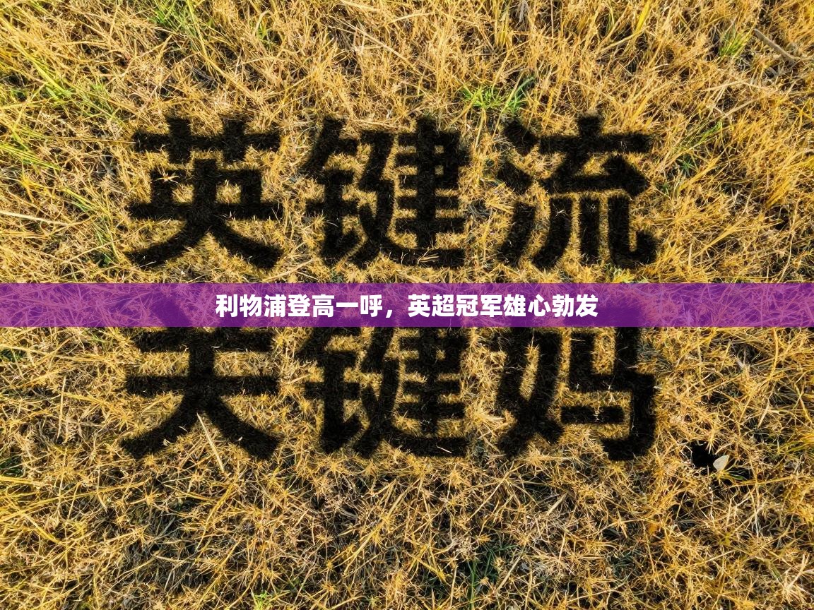 利物浦登高一呼，英超冠军雄心勃发  第2张