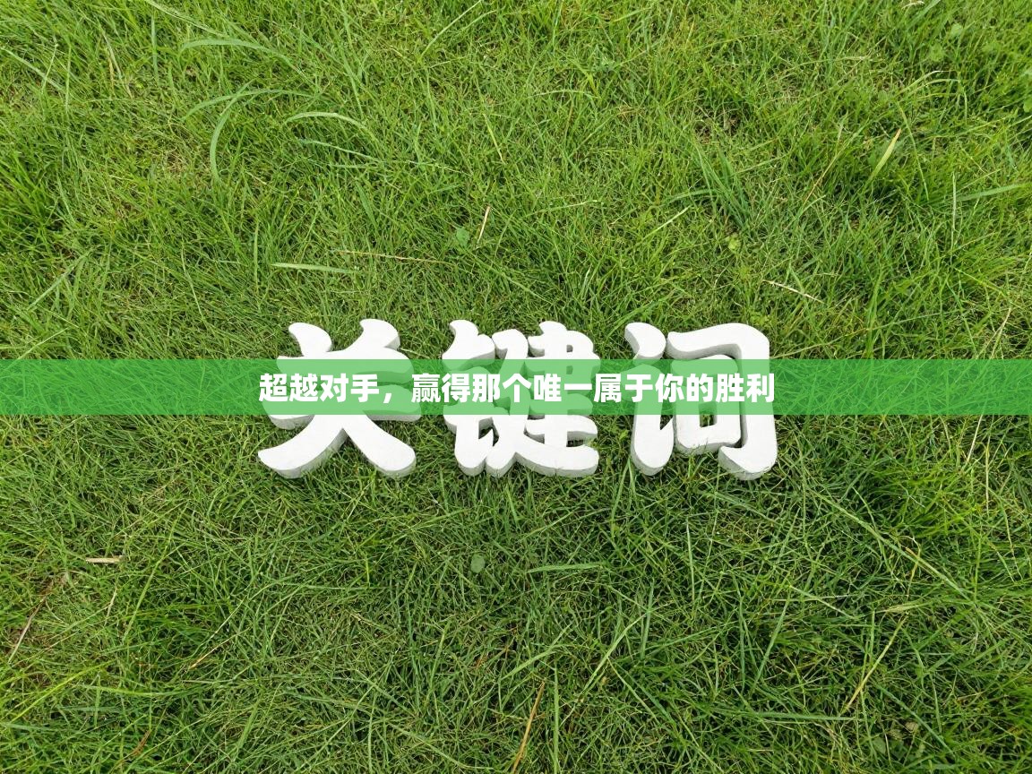 超越对手，赢得那个唯一属于你的胜利