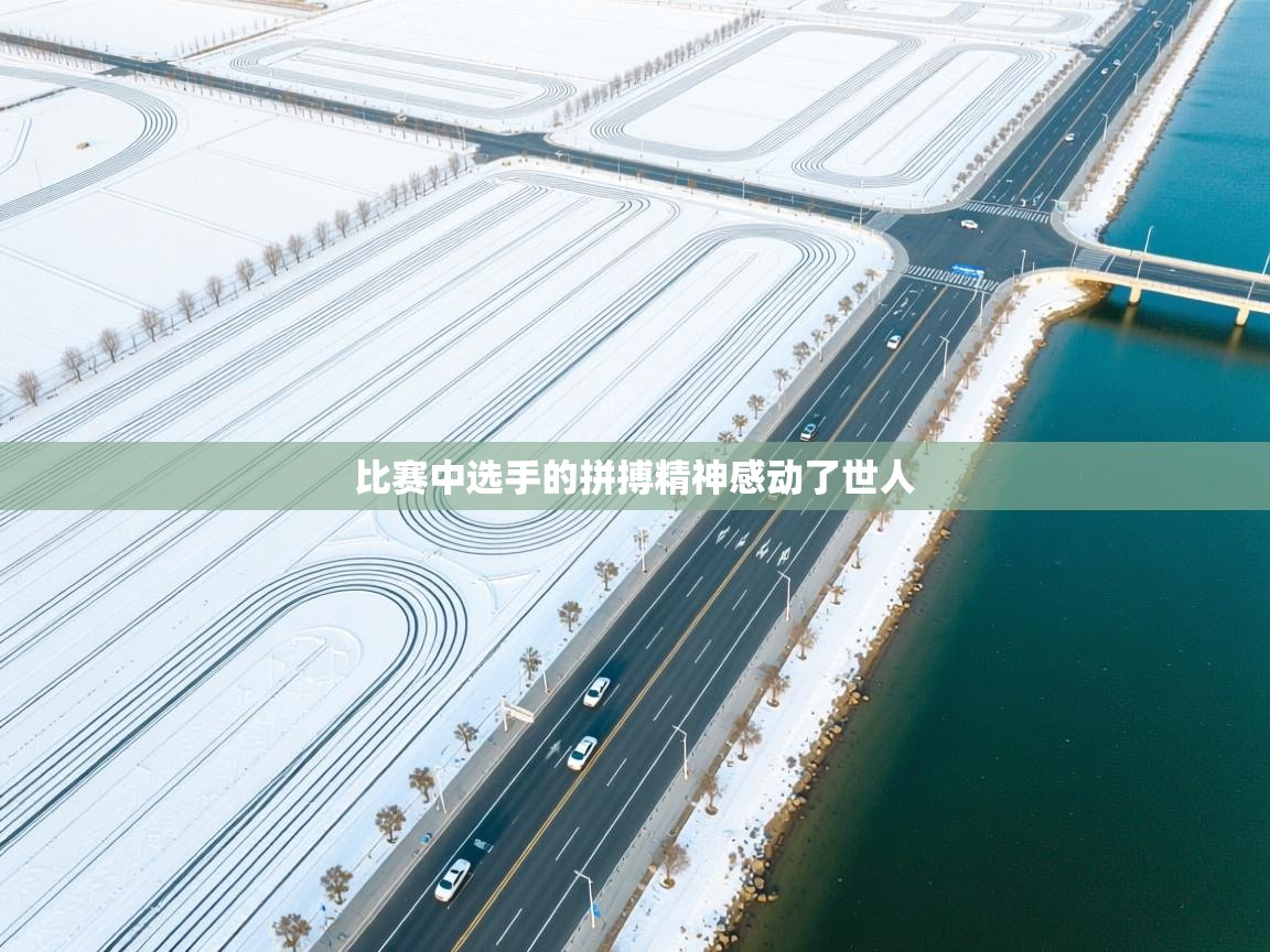 比赛中选手的拼搏精神感动了世人  第1张