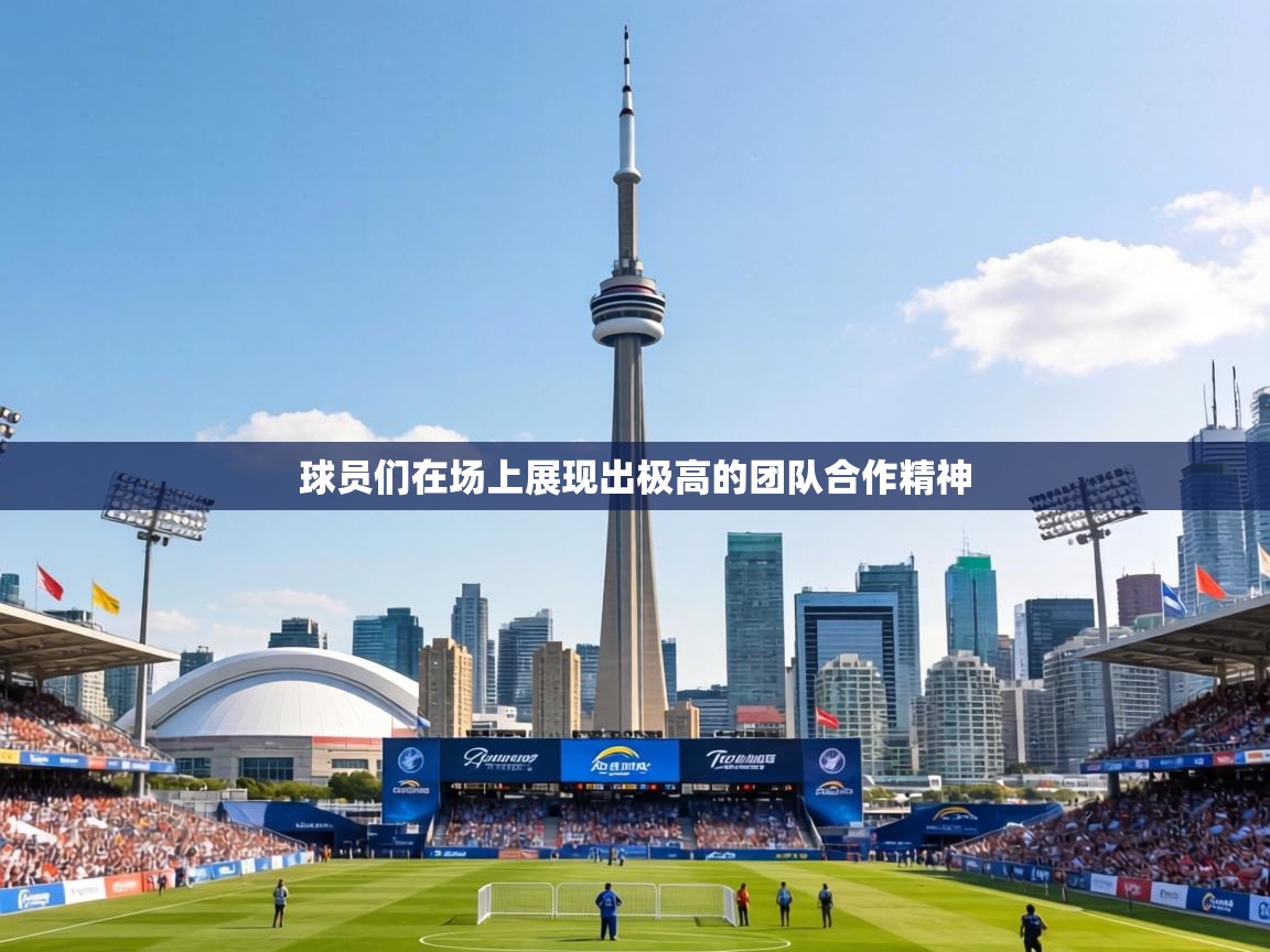 球员们在场上展现出极高的团队合作精神 第1张