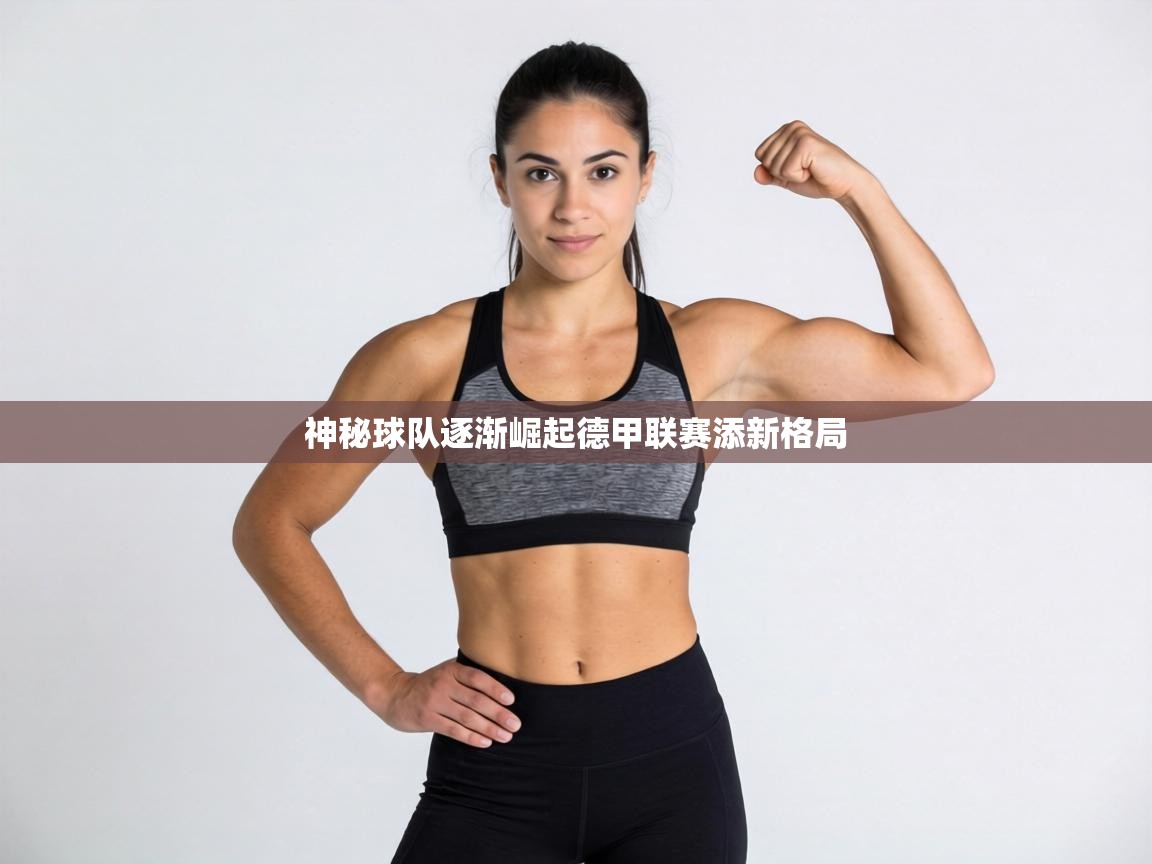 神秘球队逐渐崛起德甲联赛添新格局 第2张