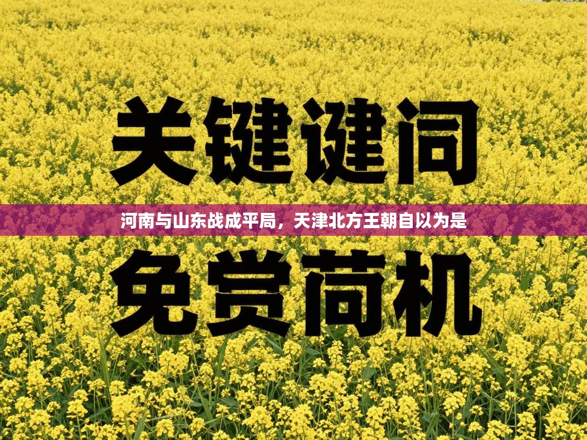 河南与山东战成平局,天津北方王朝自以为是 第2张